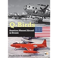 American Experimental Fighters of WWII: The Pursuit of